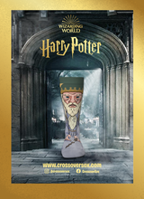 SWAG x CROSSOVER - DUMBLEDORE (HP005) - PAIR