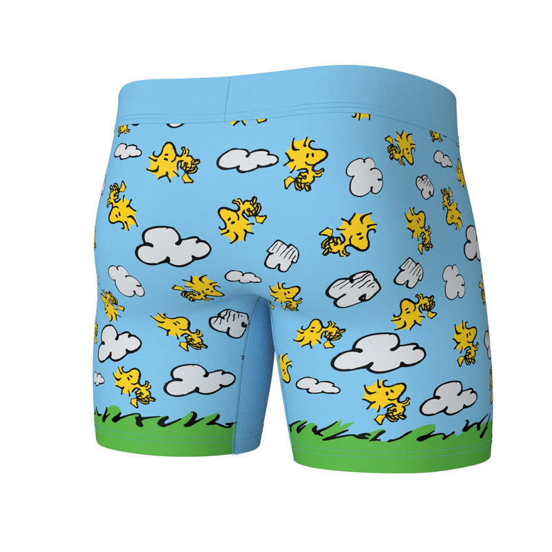 SWAG - Peanuts Snoopy Doghouse Boxers