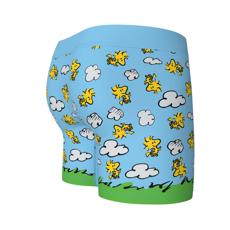 SWAG - Peanuts Snoopy Doghouse Boxers