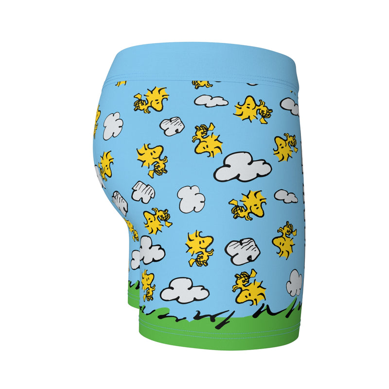 SWAG - Peanuts Snoopy Doghouse Boxers