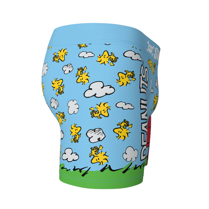 SWAG - Peanuts Snoopy Doghouse Boxers